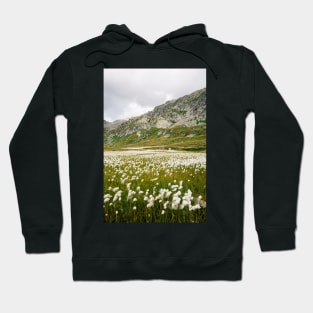 White Alpine Flowers Growing in Greina High Plain (Grisons, Switzerland) Hoodie